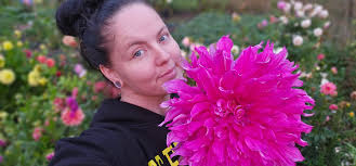 Large zinnia flower bloom