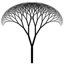 Image result for fractal