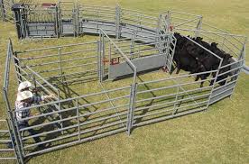 However, there are a few items that remain constant for your calving pen no matter what type of operation you have, or where you are located geographically. Ww Livestock Alleys Tubs Cattle Handling Equipment