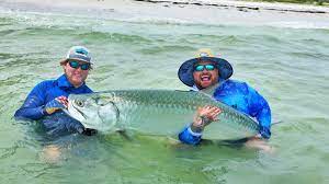 Book now · fishing trips Tarpon Fishing In Florida All You Need To Know