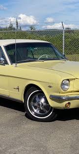 Image result for Phoenician Yellow 1964 Mustang