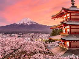2021 Guide To Choosing The Best Mt Fuji Tour From Tokyo What To Look For