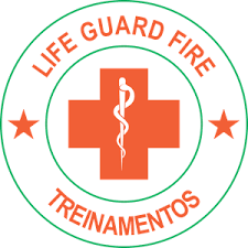 Fire hair png realistic fire flames clipart png fire phoenix png fire emblem heroes logo png bon fire png fire photoshop png. Mestre Free Fire Logo Download Logo Icon Png Svg