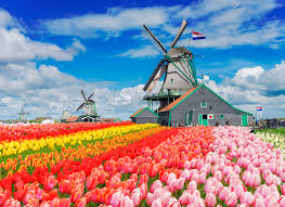 Maak kennis met de wereld van kia. Nederland Voor Beginners
