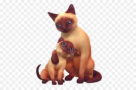 According to time, duke health confirmed the test results. Dog And Cat Png Download 600 600 Free Transparent Sims 4 Cats Dogs Png Download Cleanpng Kisspng