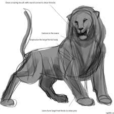 We upload how to draw step by step easy drawing videos. Realistic Lion Drawing In 4 Steps With Photoshop