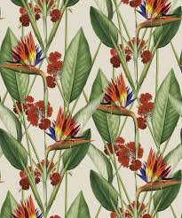 Tropical Birds Of Paradise Wallpaper Birds Of Paradise Wallpaper Bold Large Scale Floral Milton King Uk In 2020 Paradise Wallpaper Wallpaper Large Scale Floral