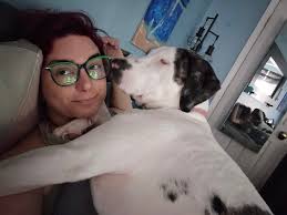 Does anyone else's dog do this when seeing other dogs