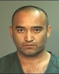 Police dog injured during arrests