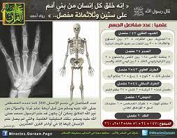 pin by essam sayed mohamed on miracles of quran معجزات القران tableware kitchen flatware