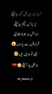 Woh mila toh kahta tha ke pilot banunga faraz, halat aisi hai ki makkhi bhi udayi nahi jati. For Friends Urdu Funny Quotes Romantic Poetry Quotes Soul Love Quotes