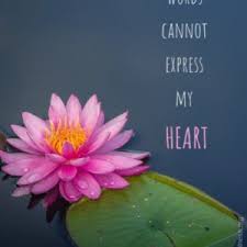 Set up ecard with scaled profile picture and company logo. Send Your Sympathy With A Free Ecard From Gratefulness Org