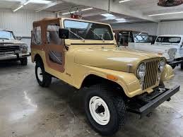 Image result for Coffee Brown 1981 Chrysler