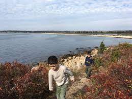 Check spelling or type a new query. Tstl 16 14 Bluff Point State Park