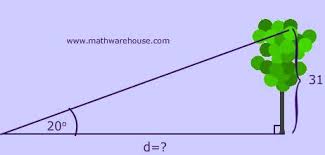 See more ideas about worksheet maker, worksheets for kids and animal worksheets. Sine Cosine Tangent Real World Applications How To Use Sohcahtoa To Calculate The Height Of Trees Buildings Etc