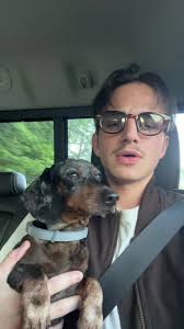 Vincent: Roztomilý Jezevčík na TikToku