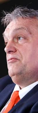 Il Libero Professionista Reloaded #22 by Il Libero Professionista Reloaded 