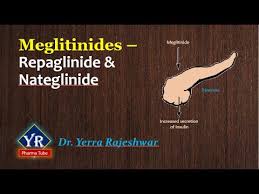 Image result for Meglitinide