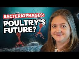 Dr. Dianna Bourassa: Battling Salmonella