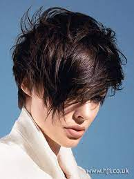 2009 Brunette Bob Hairstyle Hairstyle Gallery Short Hair Styles Diamond Face Hairstyle Trendy Short Hair Styles