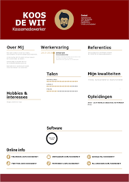 Cv Kassamedewerker Nodig Bekijk Het Voorbeeld Voor Een Perfect Cv