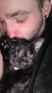 Sphynx cat behavior and appearance discussion