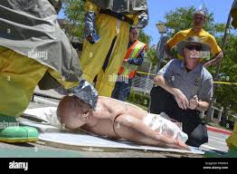 Bocek hi-res stock photography and images