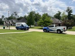 Image result for Pontchartrain Green 1960 Dodge Truck
