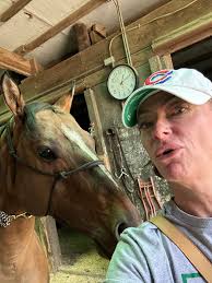 Laura Kingsley Witt (@laura4wellness) • Instagram photos and videos