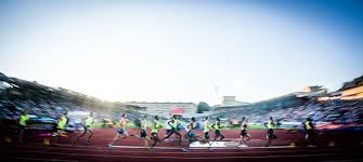Daha önce iaaf golden league etkinliklerinden biriydi, şimdi diamond league 'in bir parçası. Ticketco Wins Iaaf Diamond League Organiser Ticketco