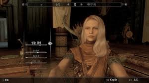 Image result for 스카이림