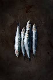Tres Belle Photo De Sardines Par My Little Fabric Http Www Mylittlefabric Com Les Sar Fotografia De Comida Fotografia De Alimentos Fotos De Comida