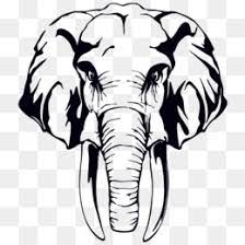 Lukis dinding, karikatur, sketsa wajah dan kanvas hp 08127657425. Elephant Black And White Png And Elephant Black And White Transparent Clipart Free Download Cleanpng Kisspng