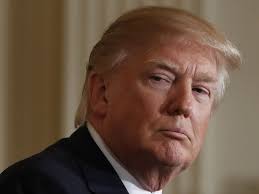 Image result for intuitivefred888