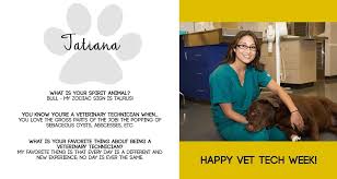 Our veterinary assistant job description, list of duties and responsibilities, specializations and career paths will fully answer your question, what is a veterinary assistant? Joseph T Koza