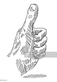 Hand Drawn Vector Drawing Of A Thumbs Up Hand Black And White Sketch How To Draw Hands Black And White Sketch Drawings