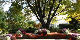 The flowers were as described and very beautiful! Luthy Botanical Garden Venue Peoria Get Your Price Estimate