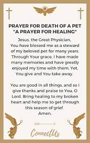It's hard enough to lose a pet you love, but when an animal has to be euthanized, it can be even worse. 10 Uplifting Prayers For Death Of A Pet Connectus