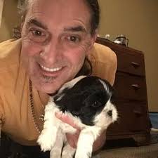 25 cute Shih Tzu puppies for sale in Baltimore, Maryland