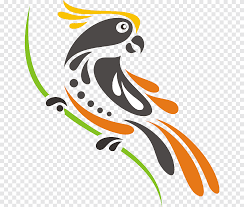 … read more gambar murai batu png / murai batu bird murai batu bird murai batu logo. Wilson S Paradiesvogel Neu Guinea Raggiana Paradiesvogel Paradies Tiere Kunstwerk Png Pngegg