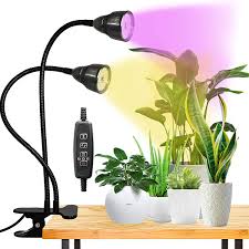 Check spelling or type a new query. Amazon Com Led Grow Light For Indoor Plant Gooseneck Dual Head Clip On Plant Lights For Seedlings Succulents Timer Function With 3 Modes 10 Level Brightness Home Improvement