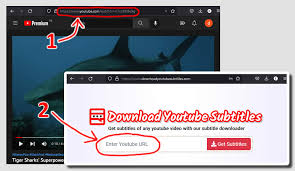 Youtube Subtitle Downloader - DownloadYoutubeSubtitles.com