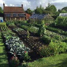 3 015 Likes 54 Comments Charles Dowding Charles Dowding On Instagram 24mm An Inch Of Rain And The Autumn Brassi Garden Design Dream Garden Farm Gardens