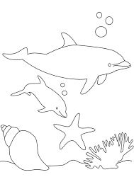 Page 5 Sur 50 Sur Hugolescargot Com Coloriage Dauphin Coloriage Coloriage Poisson