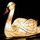 Light up the canal lantern workshop - Talybont On.... event in Brecon