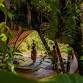 Into Nature: Yoga and Nature Immersion Retreat in event image