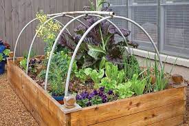 First i started off with the raised bed i made last year for my peppers. Https Www Grit Com Farm And Garden Do It Yourself Hoop House Zm0z16maztri