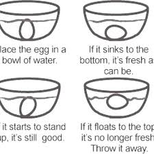 Egg Freshness Chart Google Search Chickens Galore