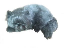 They are the single most realistic stuffed animals i have ever seen. Perfect Petzzz Persian Cat The Puppy That Breathes 737412992608 Ebay