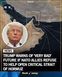 Trump demands allies help to secure Strait of Hormuz, but they push back